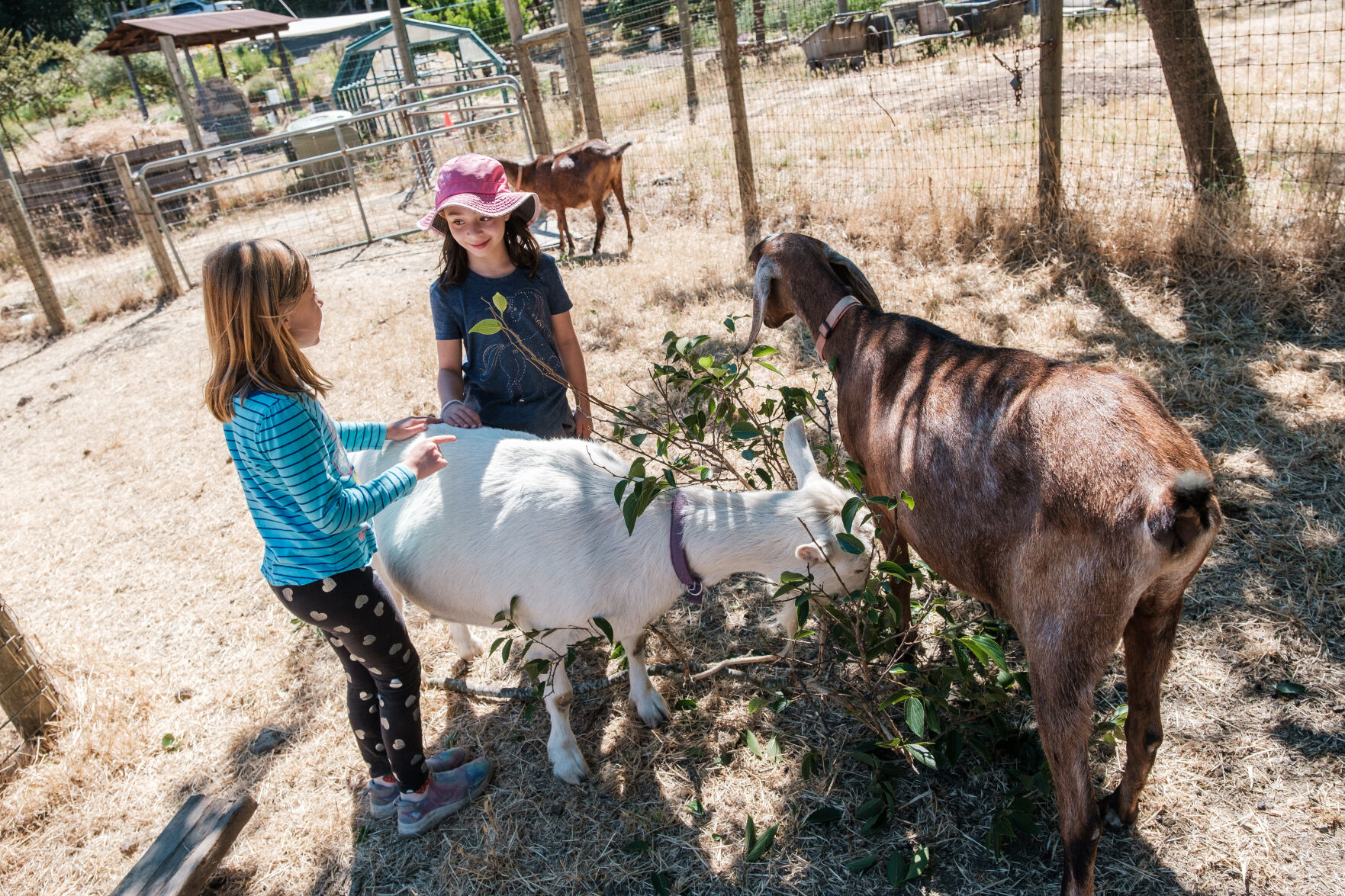 Connolly Ranch